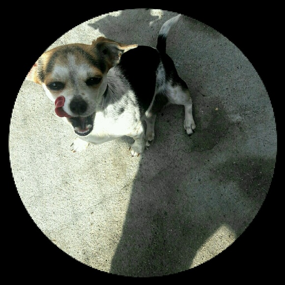 Meet your Posher, David - Picture 1 of 1